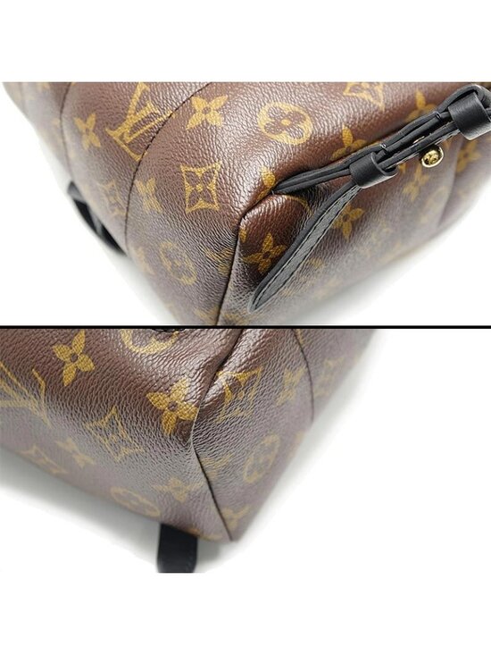 Louis Vuitton Monogram Palm Springs Backpack PM main image 8